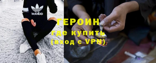 прущие грибы Алзамай