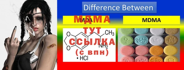 прущие грибы Алзамай