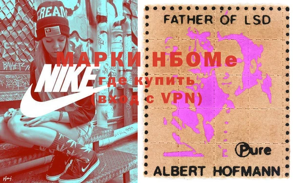 прущие грибы Алзамай
