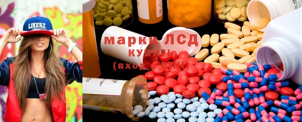 прущие грибы Алзамай