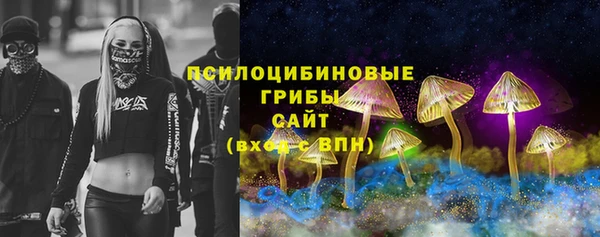 прущие грибы Алзамай