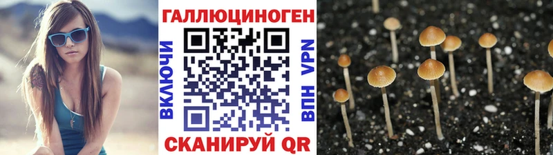Псилоцибиновые грибы Cubensis  mega вход  Анадырь 