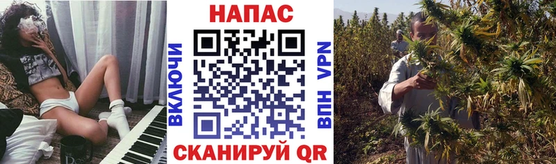 Бошки Шишки семена Анадырь